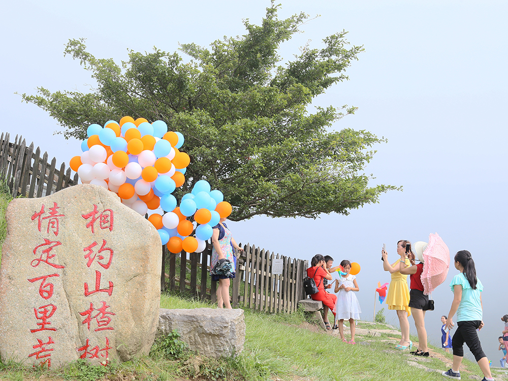 湖北宜昌百里荒旅游指南